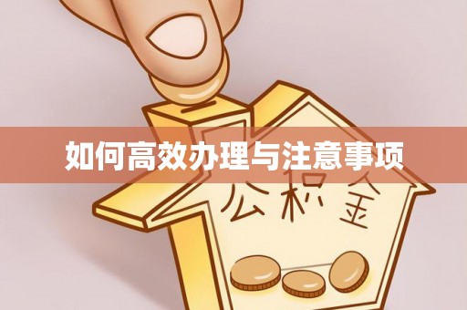 商都如何高效办理与注意事项