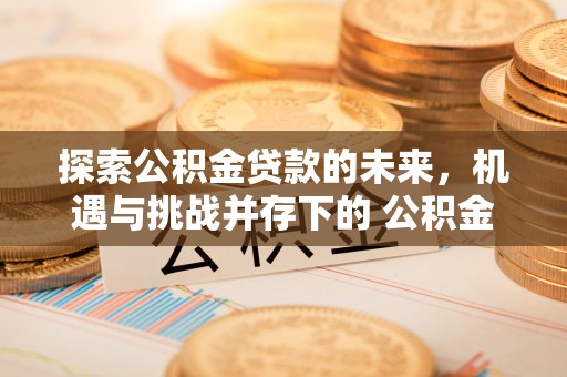 商都探索公积金贷款的未来，机遇与挑战并存下的 公积金贷款风险防控