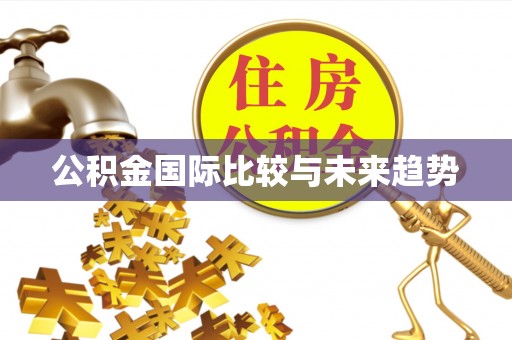 商都公积金国际比较与未来趋势