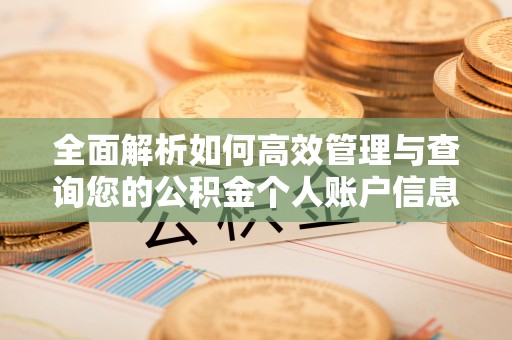 商都全面解析如何高效管理与查询您的公积金个人账户信息