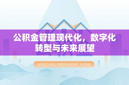 商都公积金管理现代化，数字化转型与未来展望