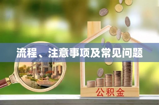 商都流程、注意事项及常见问题