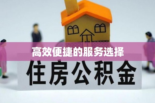 商都高效便捷的服务选择