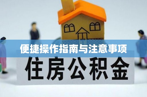 商都便捷操作指南与注意事项